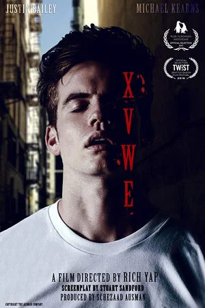 Постер: XVWE