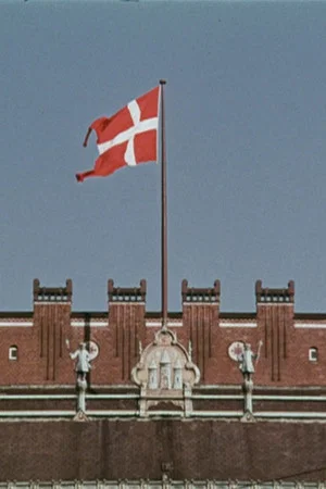 Постер: Rødt og hvidt
