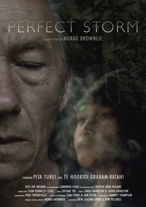 Постер: Perfect Storm