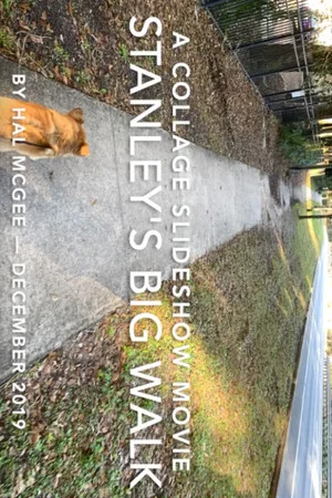 Постер: Stanley's Big Walk