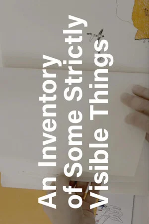 Постер: An Inventory of Some Strictly Visible Things