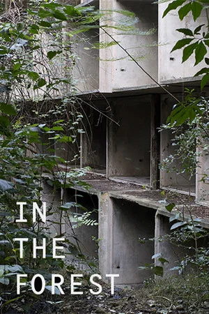 Постер: in the forest
