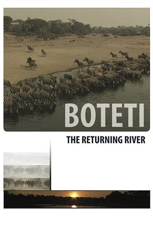 Постер: Boteti: The Returning River