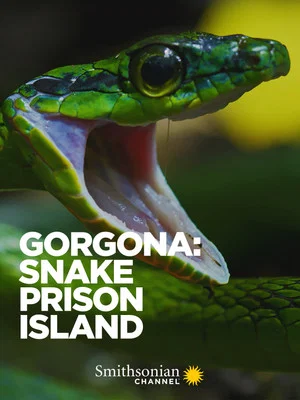 Постер: Gorgona: Snake Prison Island