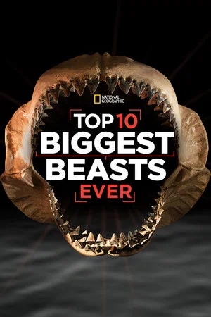 Постер: Top 10 Biggest Beasts Ever