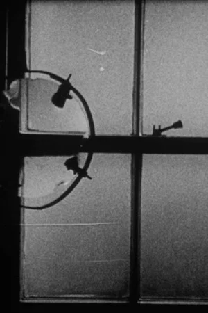 Постер: Defenestration