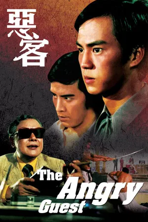 Постер: The Angry Guest