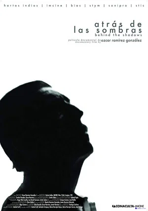 Постер: In the Shadows