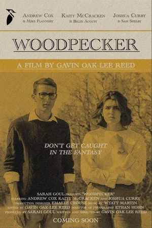 Постер: Woodpecker