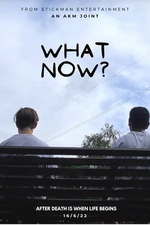 Постер: What Now?