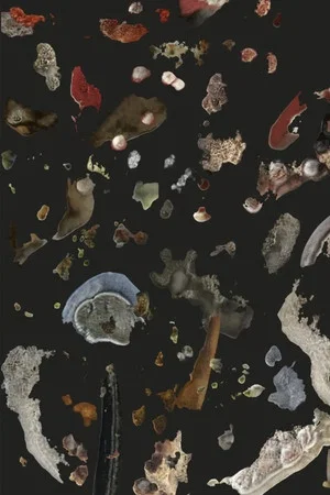 Постер: AI Mold Garden