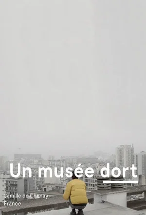 Постер: A Museum Sleeps