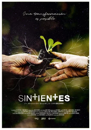 Постер: Sintientes
