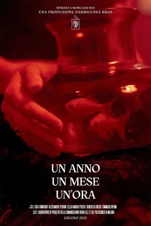 Постер: Un anno, un mese, un'ora