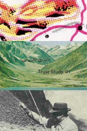 Постер: Trust Study #1