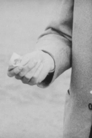 Постер: Pockpicket - Recollections of a Helsinki Bourgeois Youth