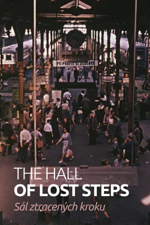 Постер: The Hall of Lost Steps