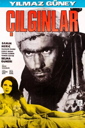 Постер: Tehlikeli Adam