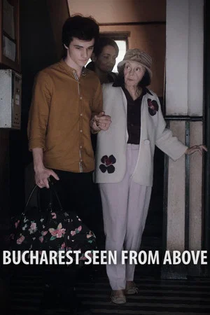 Постер: Bucharest Seen from Above