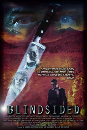 Постер: Blindsided