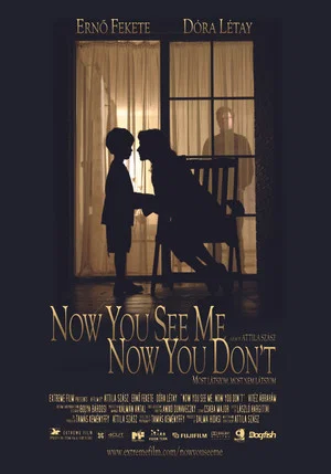 Постер: Now You See Me, Now You Don't