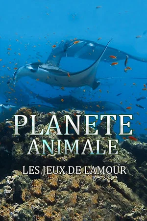 Постер: Planète Animale : Les jeux de l'amour