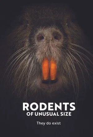Постер: Rodents of Unusual Size