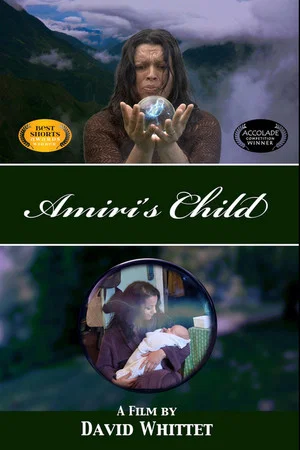 Постер: Amiri's Child