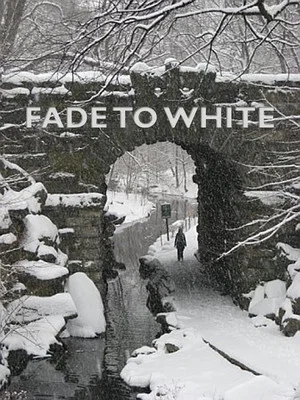 Постер: Fade to White
