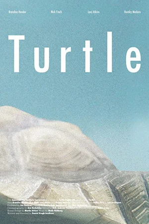 Постер: Turtle
