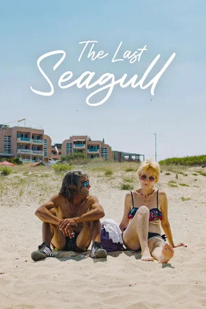 Постер: The Last Seagull