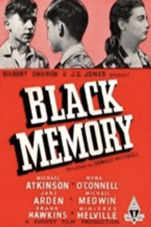 Постер: Black Memory