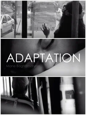 Постер: Adaptation