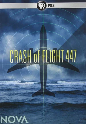 Постер: Crash of Flight 447