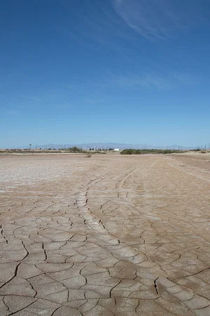 Постер: Desert Shores
