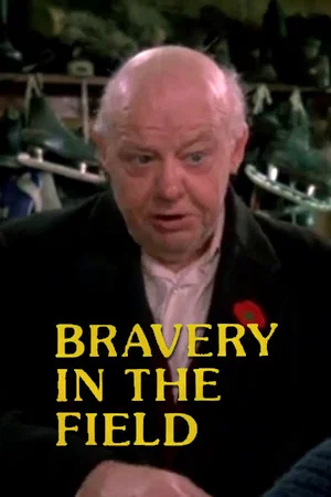 Постер: Bravery in the Field