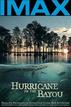 Постер: Hurricane on the Bayou