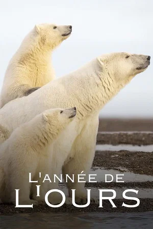 Постер: L'Année de l'ours