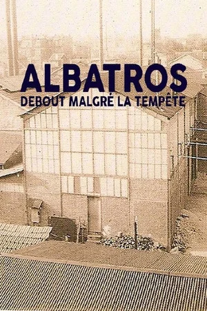 Постер: Albatros, debout malgré la tempête