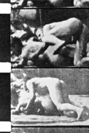 Постер: Filming Muybridge