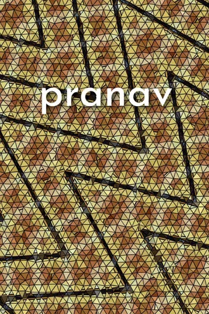 Постер: pranav