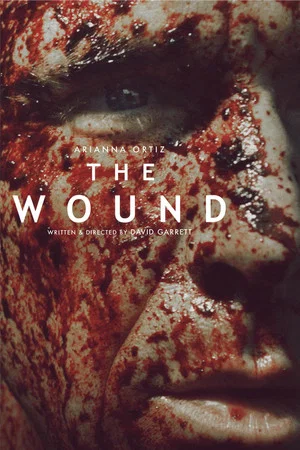 Постер: The Wound