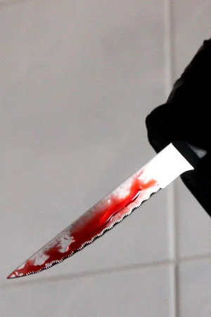 Постер: Three Bloody Photographs