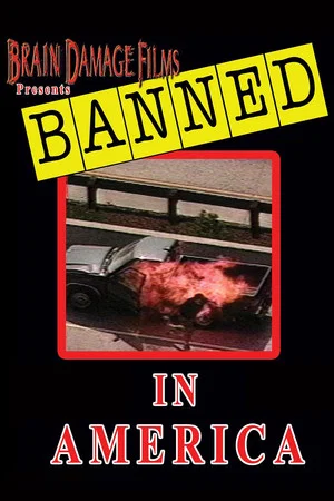 Постер: Banned! In America I