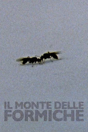 Постер: The Mount of Ants