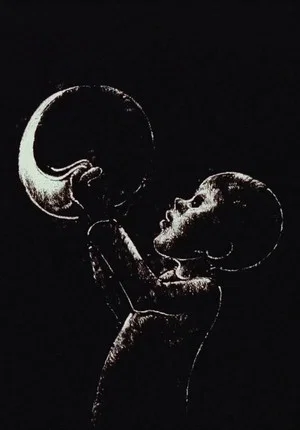 Постер: The Boy Who Stole the Moon