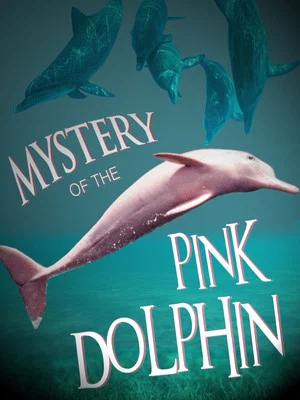Постер: The Mystery of the Pink Dolphin