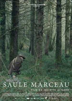 Постер: Saule Marceau