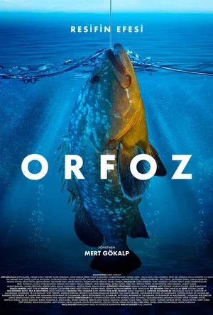 Постер: Orfoz: Resifin Efesi
