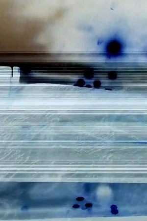 Постер: Permission to Land